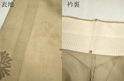 平和屋着物＊夏物　紗紬　舞花文　正絹　逸品　CABJ2582ze
