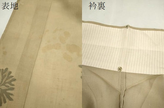 平和屋着物＊夏物　紗紬　舞花文　正絹　逸品　CABJ2582ze