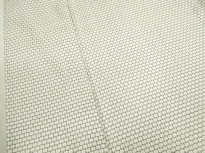 平和屋着物▽男性　単衣　亀甲柄　正絹　逸品　CABJ2668ze