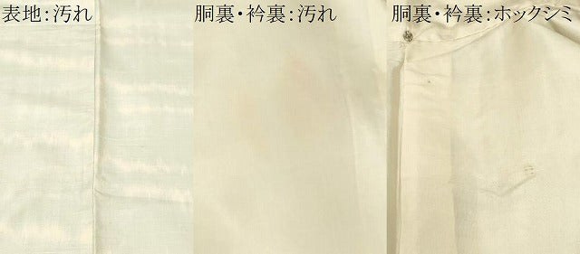 平和屋着物■上質な紬　霞文　正絹　逸品　CABJ2833ev
