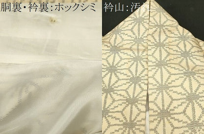 平和屋着物■上質な紬　麻の葉文　正絹　逸品　CABJ2851ev