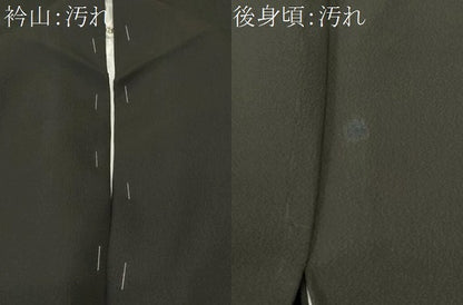 平和屋着物■訪問着　風景文　黒地　正絹　逸品　CABJ2853ev