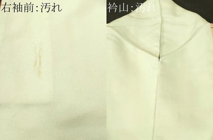 平和屋着物■訪問着　刺繍　カトレア　草花文　暈し染め　正絹　逸品　CABJ2891ev