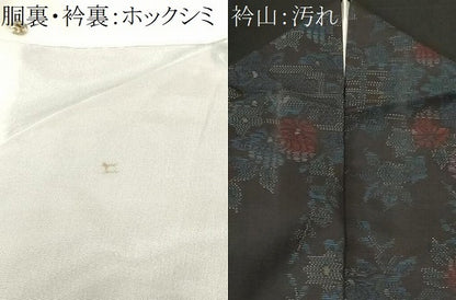 平和屋着物■本場大島紬　枝花文　正絹　逸品　CABJ2958ev