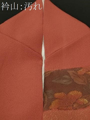 平和屋着物■訪問着　横段鳳凰草花文　金彩　鬼しぼ縮緬　正絹　逸品　CABJ2967ev