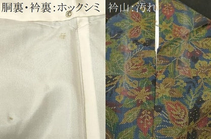 平和屋着物■本場大島紬　7マルキ　草花文　正絹　逸品　CABJ3062ev