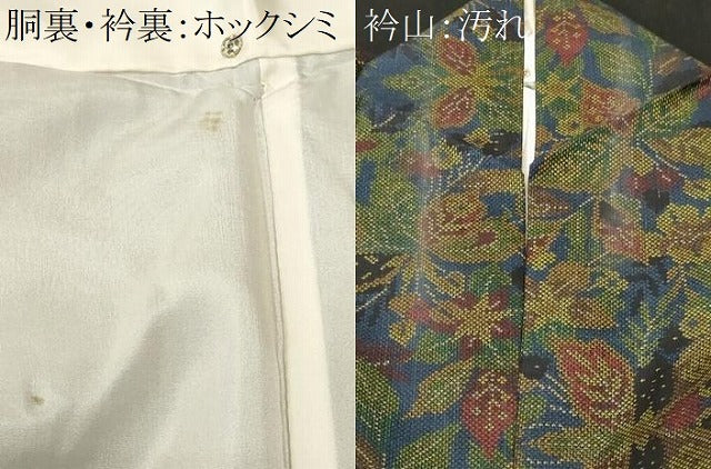 平和屋着物■本場大島紬　7マルキ　草花文　正絹　逸品　CABJ3062ev