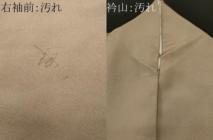 平和屋着物■訪問着　屏風花鳥文　孔雀　金彩　正絹　逸品　CABJ3069ev