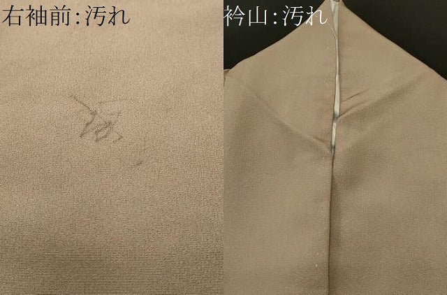平和屋着物■訪問着　屏風花鳥文　孔雀　金彩　正絹　逸品　CABJ3069ev