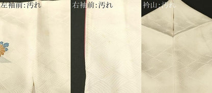 平和屋着物■訪問着　刺繍　松竹梅御所車花文　金彩　三越扱い　正絹　逸品　CABJ3071ev