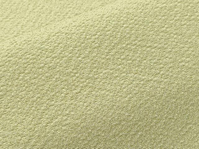 平和屋着物■上質な色無地　若芽色　正絹　逸品　CABJ3218ev