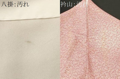 平和屋着物■上質な小紋　南天文　正絹　逸品　CABJ3235ev