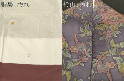 平和屋着物■上質な小紋　休み鳥草花文　葡萄蔦の葉文　正絹　逸品　CABJ3238ev