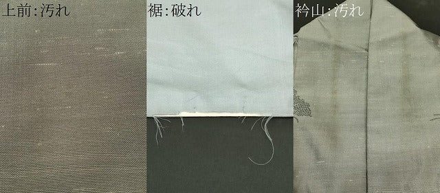 平和屋着物■上質な紬　舞蝶文　正絹　逸品　CABJ3261ev