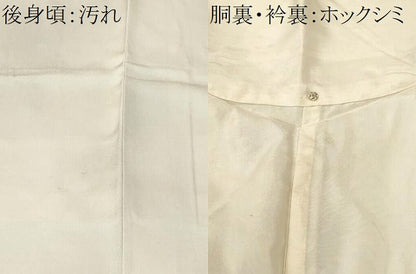 平和屋着物■訪問着　花鳥文　暈し染め　正絹　逸品　CABJ3284ev
