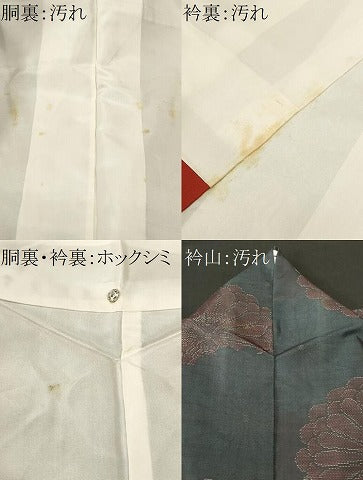 平和屋着物■本場大島紬　菊尽くし文　正絹　逸品　CABJ3311ev