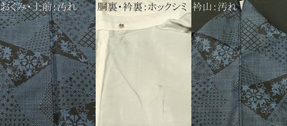 平和屋着物■本場大島紬　7マルキ　草花幾何学文　正絹　逸品　CABJ3332ev