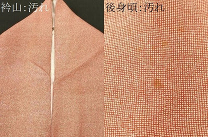 平和屋着物■江戸小紋　角通し　正絹　逸品　CABJ3339ev