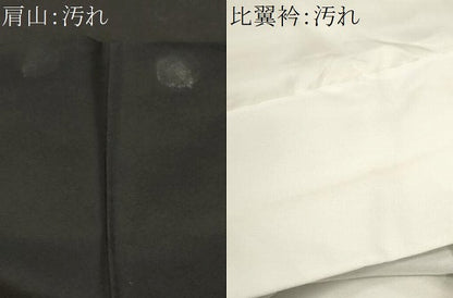 平和屋着物■豪華黒留袖　泰常　寿光織　鳳凰鬘帯花丸文　暈し染め　正絹　逸品　CABJ3359ev