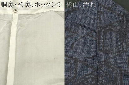 平和屋着物■結城紬　80亀甲　亀甲吉祥文　正絹　逸品　CABJ3379ev