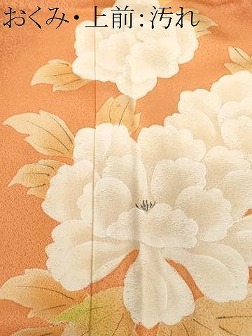 平和屋着物■訪問着　草花文　暈し染め　正絹　逸品　CABJ3408ev