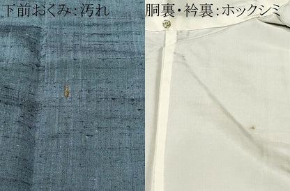 平和屋着物■上質な紬　霞文　正絹　逸品　CABJ3420ev