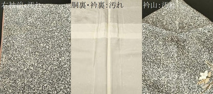 平和屋着物■訪問着　地紙枝花文　たたき染め　金彩　正絹　逸品　CABJ3498ev