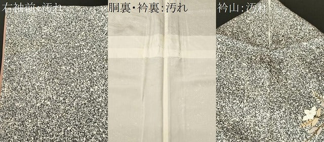 平和屋着物■訪問着　地紙枝花文　たたき染め　金彩　正絹　逸品　CABJ3498ev