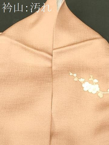 平和屋着物■訪問着　駒刺繍　枝花文　暈し染め　金彩　正絹　逸品　CABJ3501ev