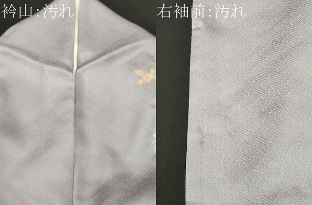 平和屋着物■訪問着　籬横笛草花文　金彩　正絹　逸品　CABJ3553ev