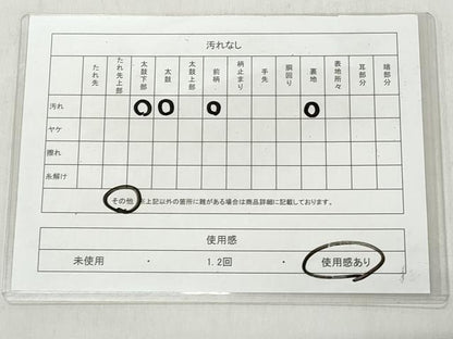 平和屋着物◎六通柄袋帯　唐織　草花文　金銀糸　正絹　逸品　CABJ3611qe