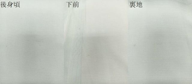 平和屋着物＊夏物　色無地　絽　青磁鼠色　正絹　逸品　CABJ4002xi