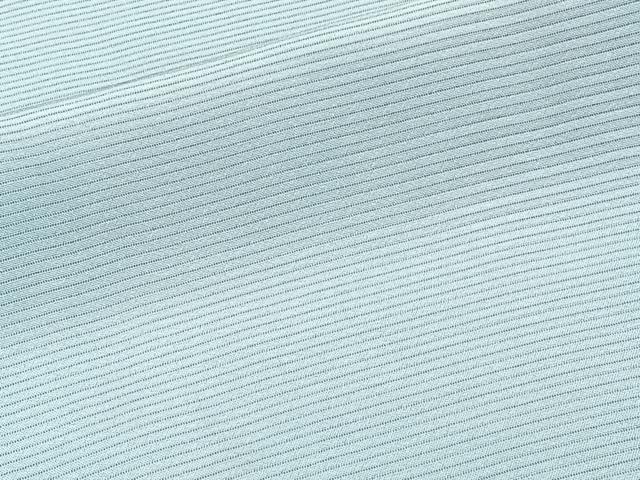 平和屋着物＊夏物　色無地　絽　浅縹色　正絹　逸品　CABJ4013xi