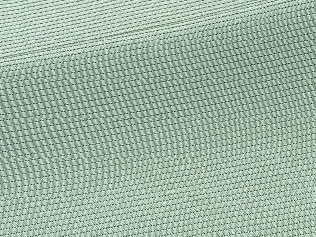平和屋着物＊夏物　色無地　絽　夏虫色　正絹　逸品　未使用　CABJ4020xi