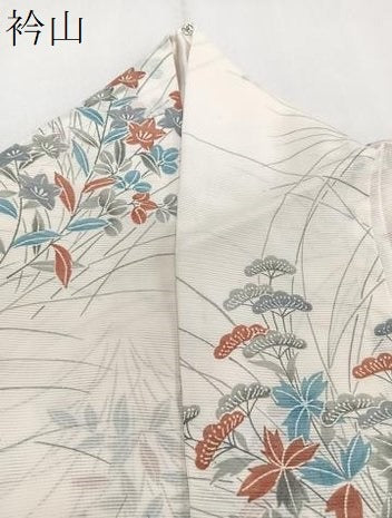 平和屋着物＊夏物　小紋　絽　枝草花　正絹　逸品　CABJ4036xi