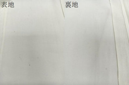 平和屋着物＊夏物　訪問着　絽　南天文　銀彩　ロング丈　正絹　逸品　CABJ4037xi