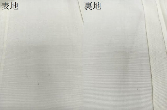 平和屋着物＊夏物　訪問着　絽　南天文　銀彩　ロング丈　正絹　逸品　CABJ4037xi