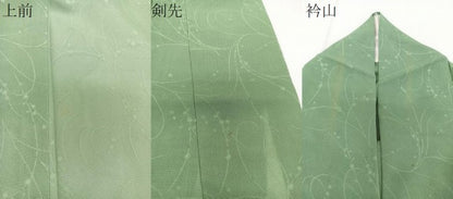 平和屋着物＊夏物　小紋　紗　枝花文　老竹色　正絹　逸品　CABJ4041xi