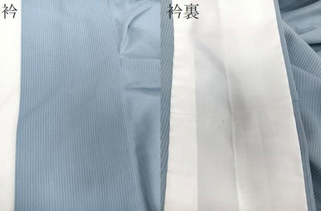 平和屋着物＊夏物　色留訪問着　縦絽　芝花蝶文　洗える着物　CABJ4059xi