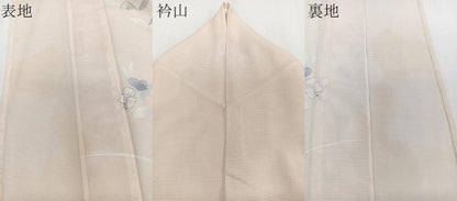 平和屋着物＊夏物　訪問着　絽　草花文　銀彩　洗える着物　CABJ4081xi