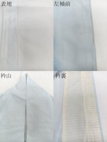 平和屋着物＊夏物　訪問着　絽　枝菊文　銀彩　洗える着物　CABJ4082xi