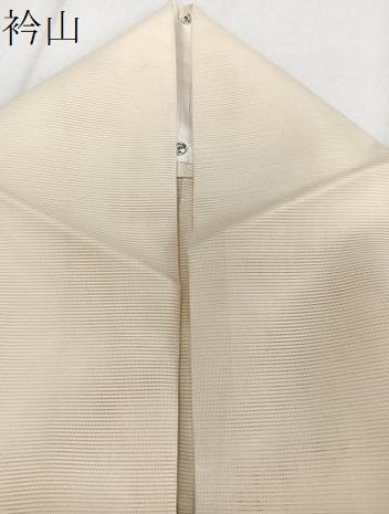平和屋着物＊夏物　訪問着　絽　舞蝶文　洗える着物　CABJ4088xi