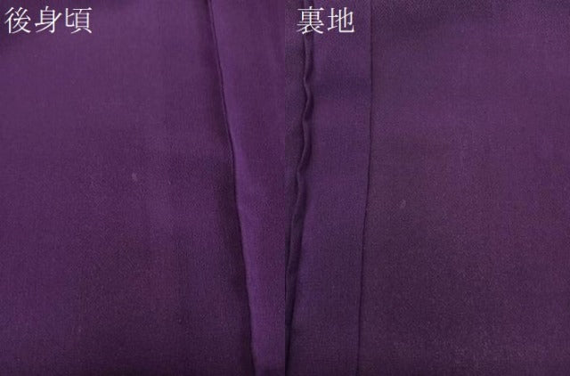 平和屋着物＊夏物　お召　吉祥文　寿光織　銀糸　正絹　逸品　CABJ4095xi