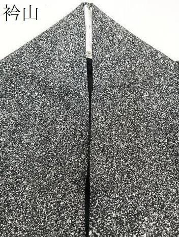 平和屋着物＊夏物　訪問着　絽　枝草花文　たたき染め　黒地　銀彩　正絹　逸品　CABJ4100xi