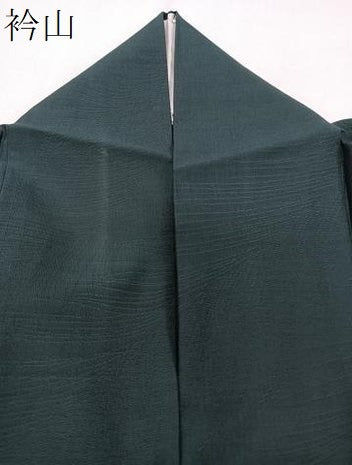 平和屋着物＊夏物　色無地　草紋紗　虫襖色　正絹　逸品　CABJ4102xi