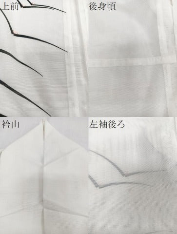 平和屋着物＊夏物　訪問着　絽　飛鳥文　洗える着物　CABJ4118xi