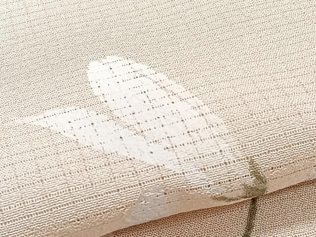 平和屋着物＊京都印象派 友禅作家　橋本恵　夏物　訪問着　絽縮緬　枝花文　暈し染め　正絹　逸品　CABJ4125xi