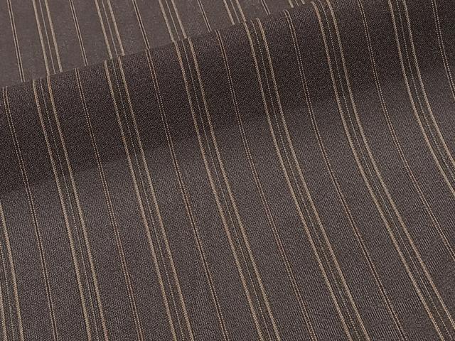 平和屋着物＊夏物　紗紬　間道　ロング丈　正絹　逸品　CABJ4126xi