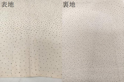 平和屋着物＊夏物　訪問着　絽　霞文　正絹　逸品　CABJ4136xi