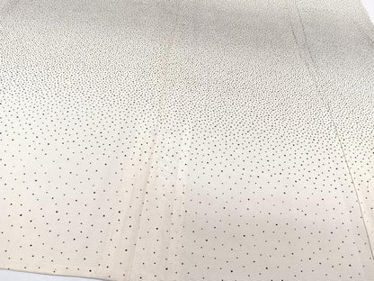 平和屋着物＊夏物　訪問着　絽　霞文　正絹　逸品　CABJ4136xi